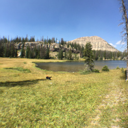 2015.08.22 - Fehr Lake Trails